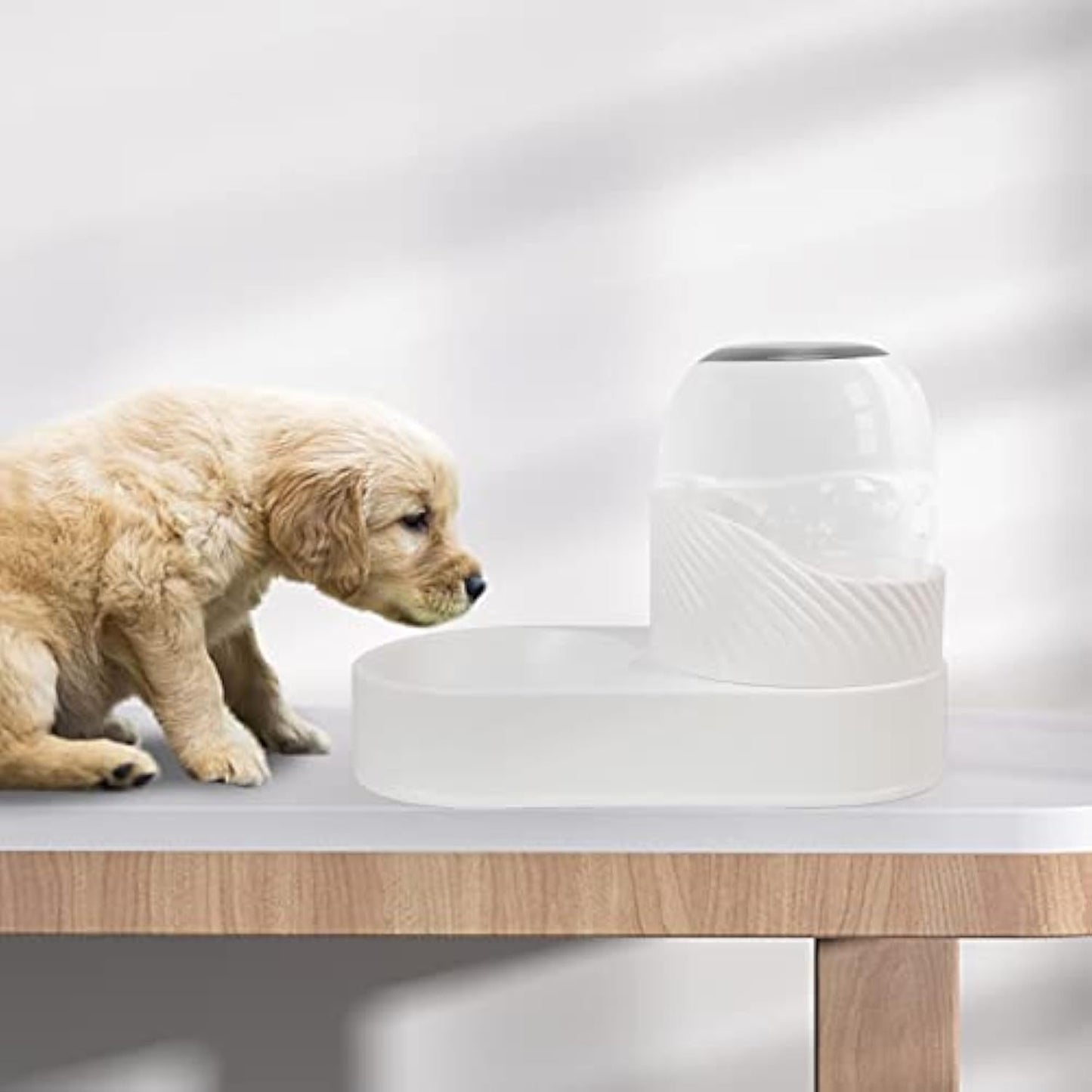 2-delat set med kattmatare och vattendispenser. Kattmatskål och vattenskål