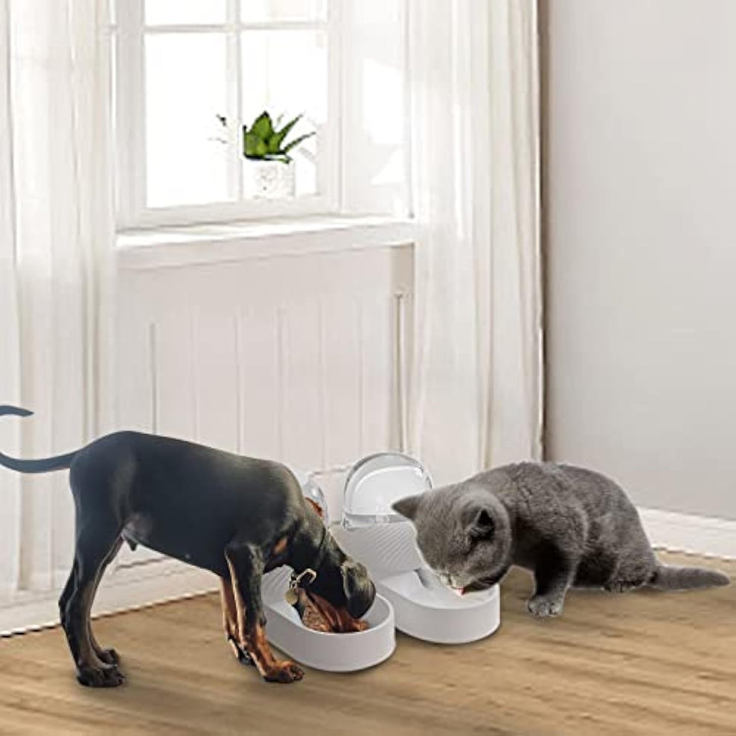 2-delat set med kattmatare och vattendispenser. Kattmatskål och vattenskål