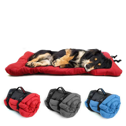 Utomhussäng för hund